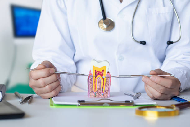 Best Pediatric Emergency Dentist in Nixa, MO